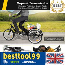 20 Inch Adult Trike Tricycle