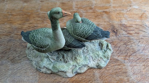 Rare border fine arts greylag - border,