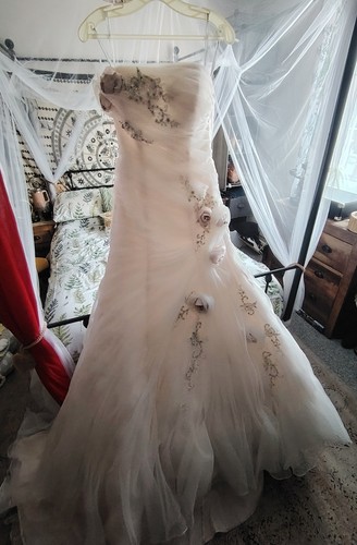 Stunning sophia tolli jillian - tolli,