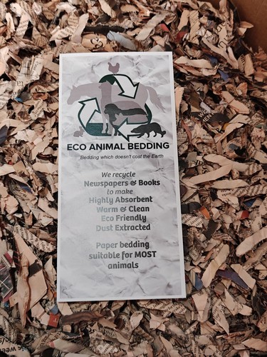 5kg boxed premium eco - eco, animal