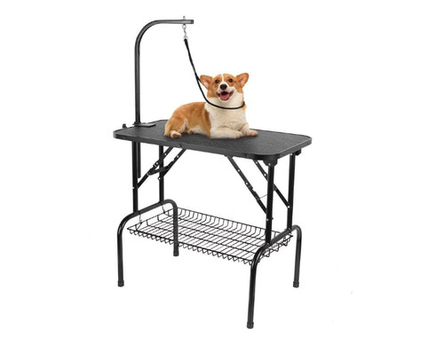 Foldable dog grooming table - dog,