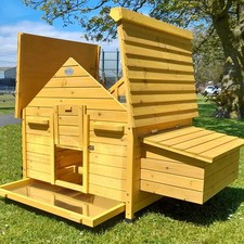 Betty CHICKEN COOP RUN HEN