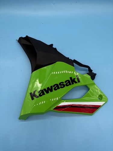 Kawasaki 4rr left lower - zx-4rr,
