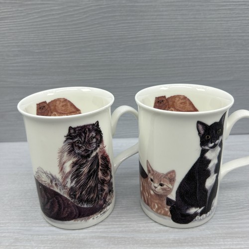 Cats galore set mugs - cats, fine