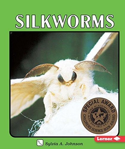 Silkworms lerner natural - silkworms,