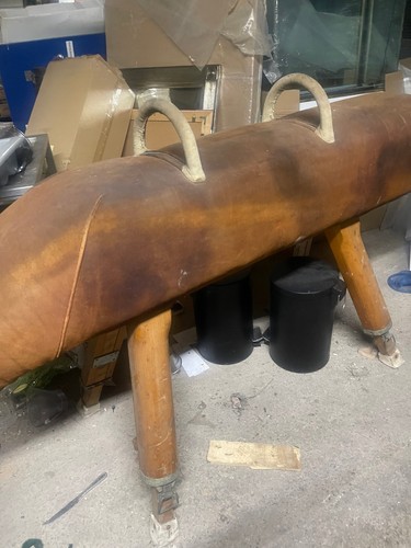 Vintage school vaulting - school,