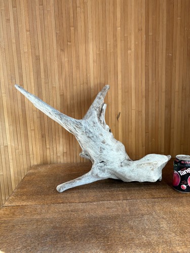 Driftwood piece large - driftwood,