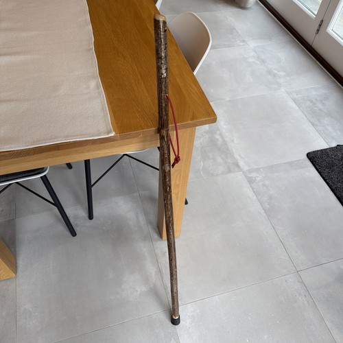 Hazel walking hiking stick - walking/hiking,