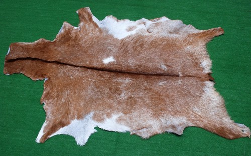 Luxury goat hide - goat, on
