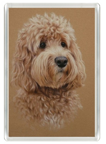 Labradoodle dog fridge - dog,