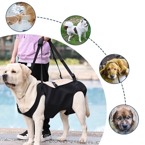 Dog lift support harness for - support,