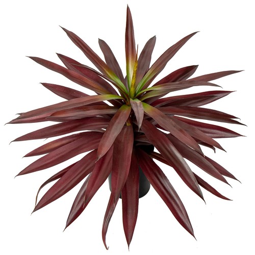 Large fake agave plant - large,