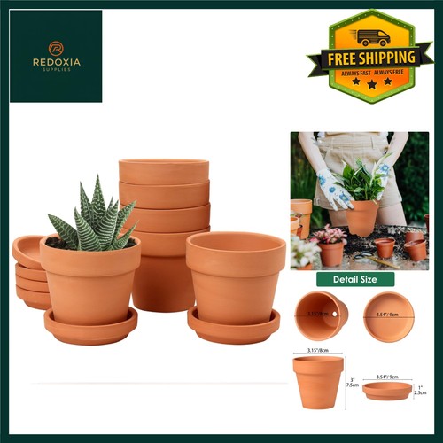 Terracotta clay plant - plant, pots