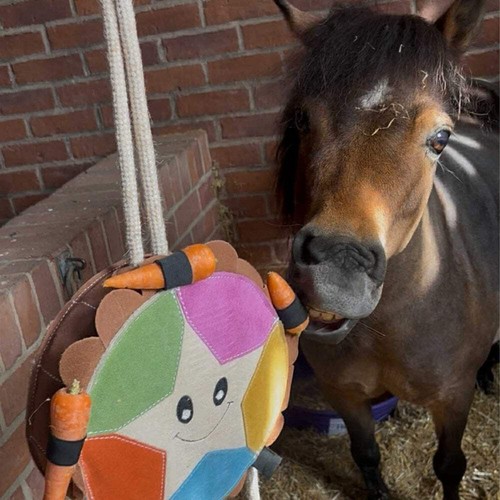 Ruggles horse stable - ruggles, toy