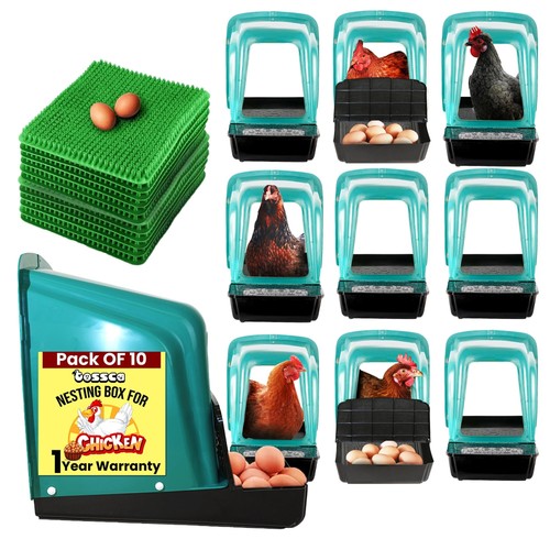 Nesting boxes for chicken coop - for,