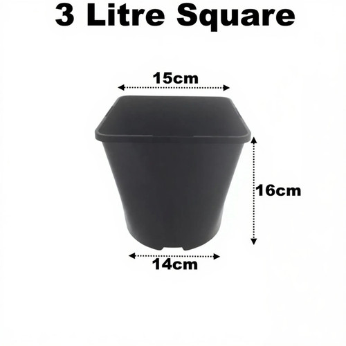 Litre square plant pots 15cm - 3,