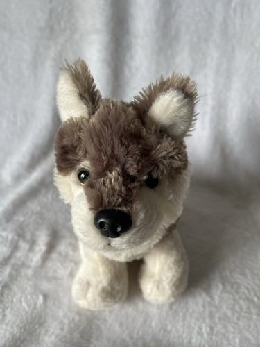 Ravensden grey husky puppy - husky,