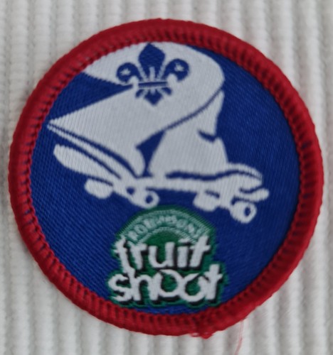 Scout badges - , uk
