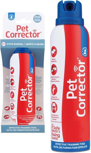 Pet corrector dog training - dog,