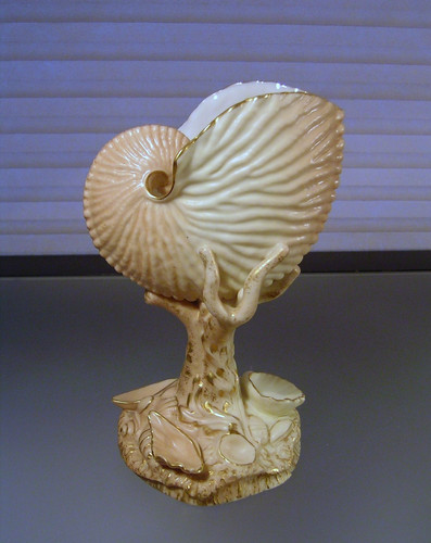 Royal worcester nautilus - royal,