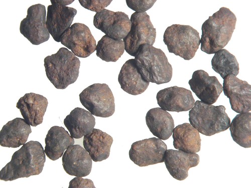 Canyon diablo iron meteorite - diablo,