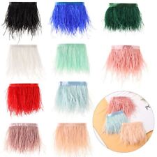 Dress 1 Meter Long Plumes Ribbon Selvage 8-10 CM Wide Ostrich Feathers Trim