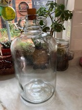 Demijohn Glass Bottle