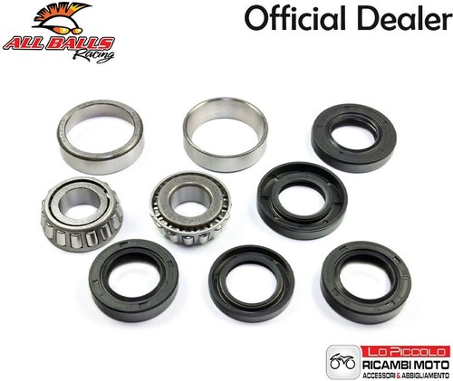 1523 all balls bearing kit - 25-1523,