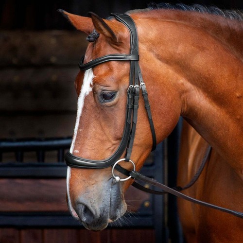 Shires velociti rapida - shires,