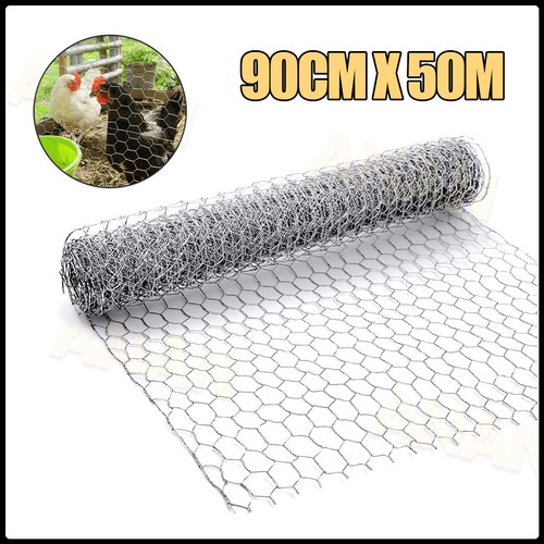 Galvanised chicken wire mesh - chicken,