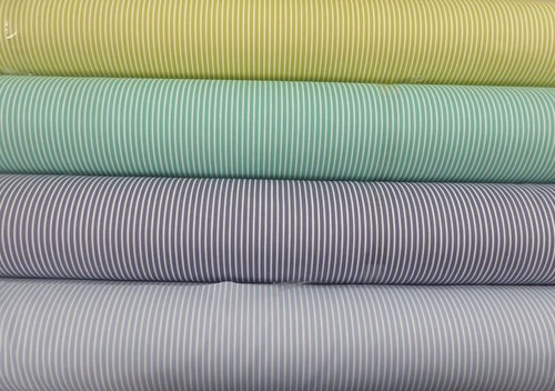 Sokeri scion striped - -,