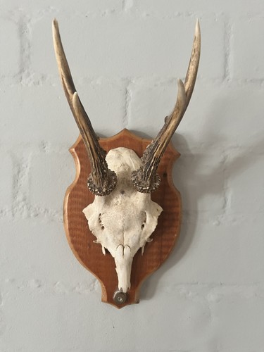 Three vintage antique wall - vintage,