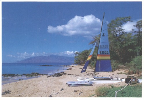 Vintage 1996 wailea - 1996,