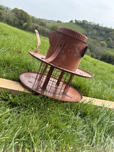 Chimney cowl birdguard - chimney,