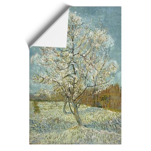 The pink peach tree vincent - tree,