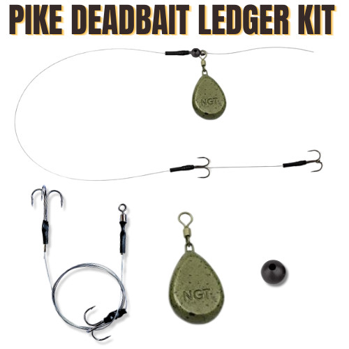Pike deadbait rig - pike,