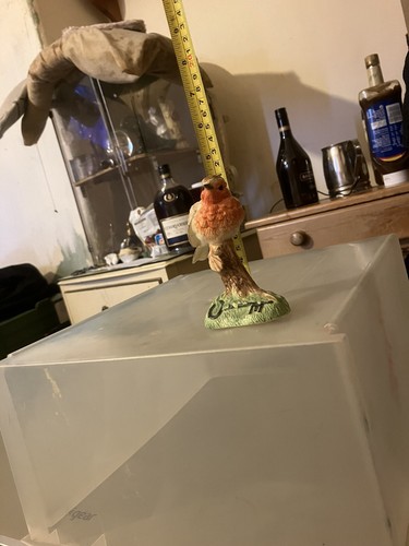 Border fine arts robin - fine,