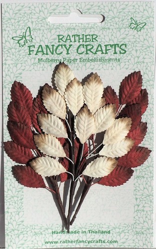Mulberry paper leaf sprigs - mulberry, x