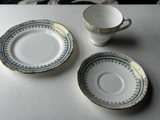 Salisbury Bone China Tea Cup