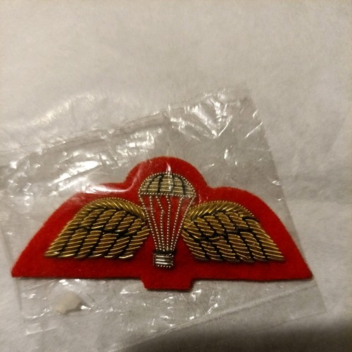 No1 para wings badge - para, mess