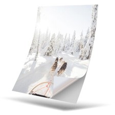 1 x Vinyl Sticker A4 - Dog