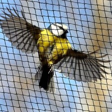 Anti Bird Pond Netting Net