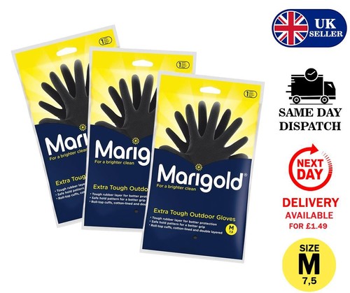 Marigold black outdoor - x,