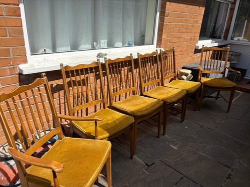 Stag vintage chairs and - stag,