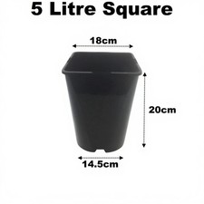 5 Litre Square Plant Pots 18cm ( 7" ) Black Plastic 1cm Deep Seed Flower Pot