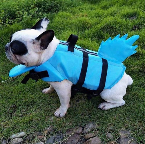 Dog life jacket with shark - dog, fin