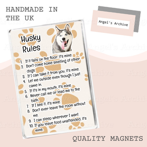 Husky rules funny - funny, dog