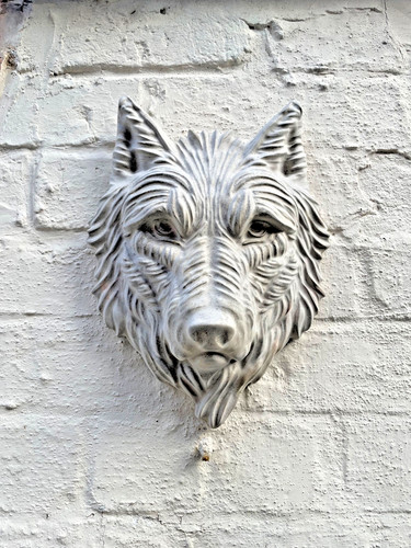 Large wolf dog head garden - wolf,