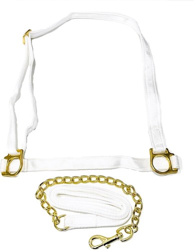 Welsh show halter - with, chain