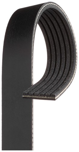 Fits gates paski - gates,